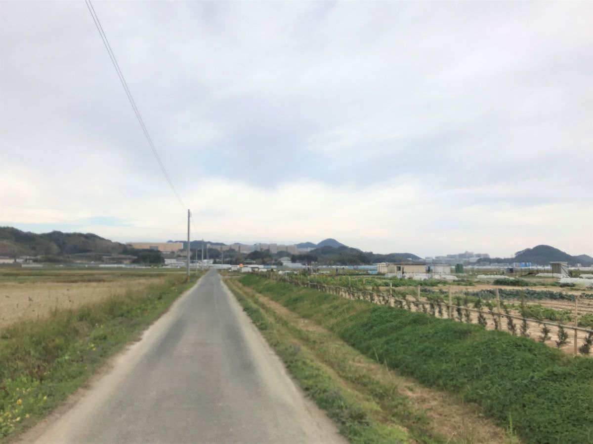 写真：糸島半島内の農道コース