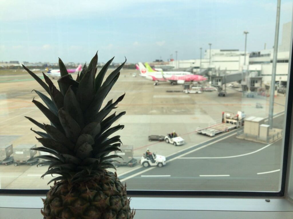 写真：福岡空港「キャンベルアーリー」カウンター席からの風景