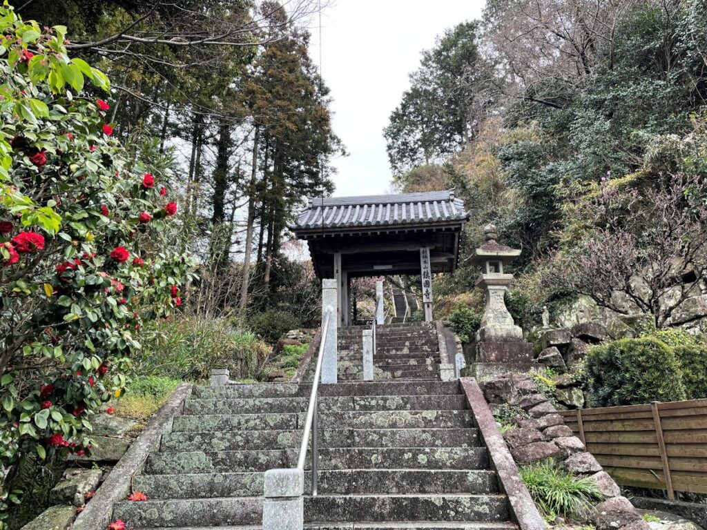 Adventure MUNAKATA 2022 鎮国寺の階段