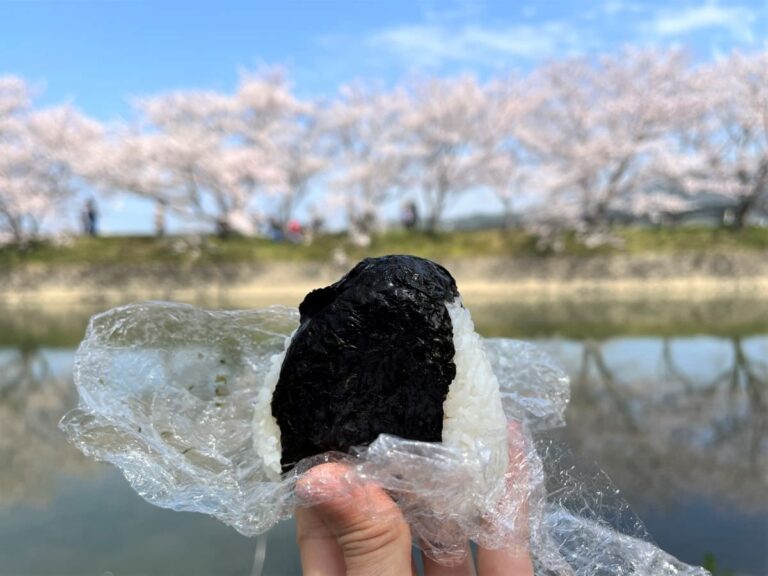 写真：福岡糸島 お花見におにぎりランチ