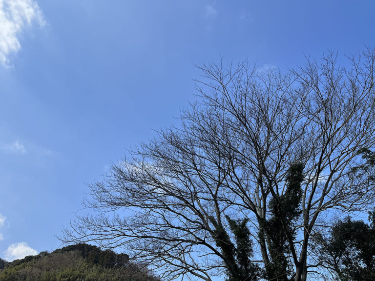 写真：福岡糸島の山