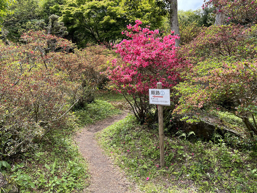 写真：福岡糸島 浮岳幸花樹園の順路