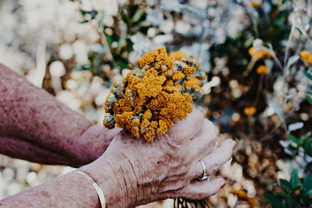 写真：花を持つ手イメージ