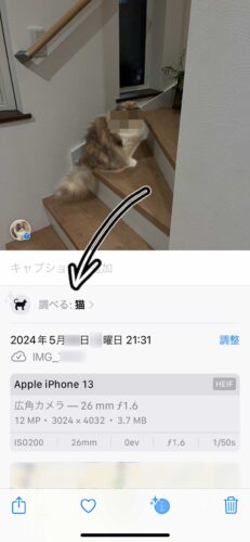 キャプチャ：iPhone 写真の詳細画面