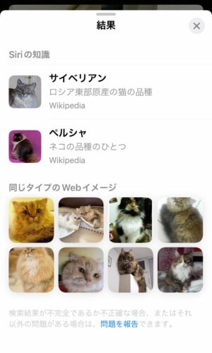 キャプチャ：iPhone 写真の詳細画面