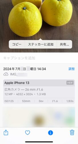 キャプチャ：iPhone 写真の詳細画面