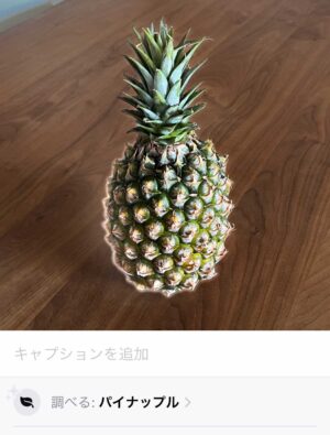 キャプチャ：iPhone 写真の詳細画面