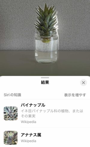 キャプチャ：iPhone 写真の詳細画面