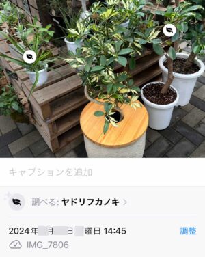 キャプチャ：iPhone 写真の詳細画面