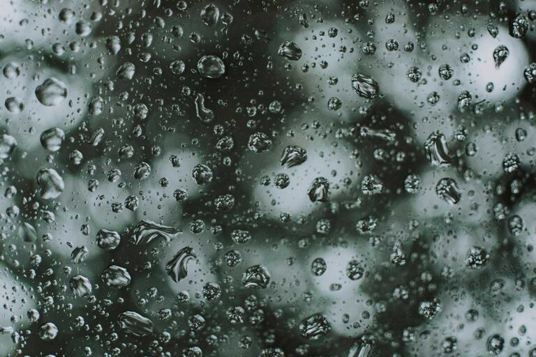 写真：じっとりした雨のイメージ