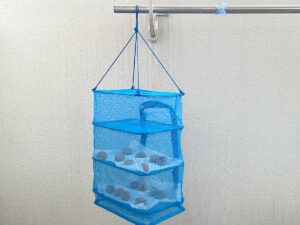 写真：梅干し土用干し