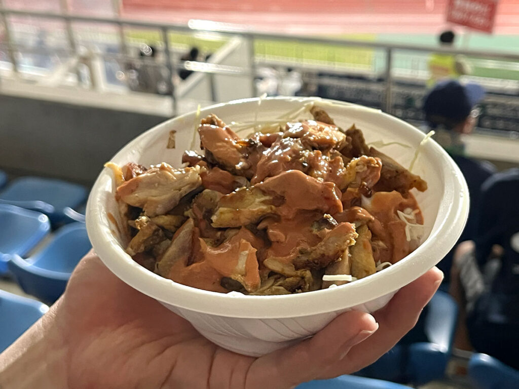 写真：ケバブ丼