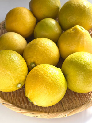 写真：唐津産のベルガモット